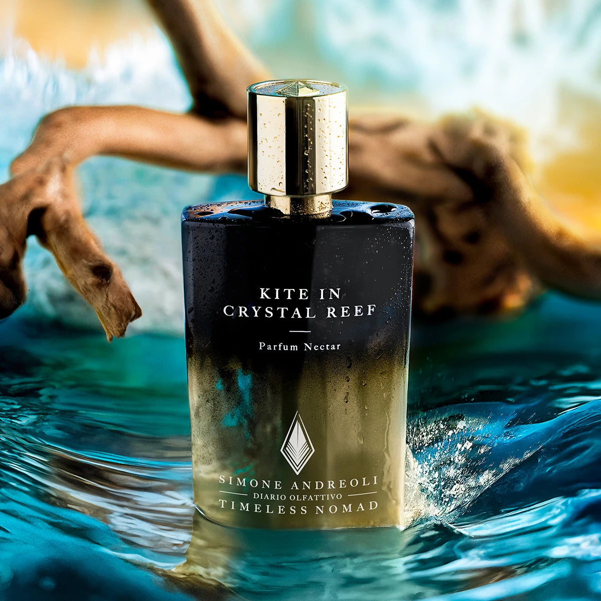 Kite In Crystal Reef